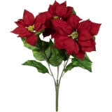 EUROPALMS Poinsettia Bush, red, 50cm