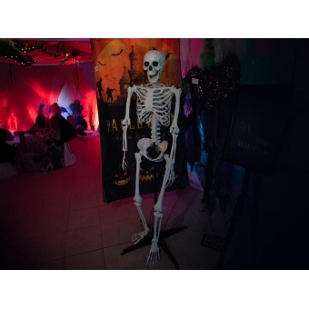 EUROPALMS Halloween Skeleton, standing, 150 cm #4