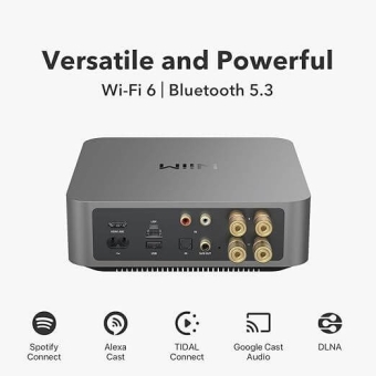 Wiim Amp PRO - Amplificator stereo cu streamer, Wi-Fi 6, Bluetooth 5.3, HDMI ARC & Voice Control/ Space Gray #8