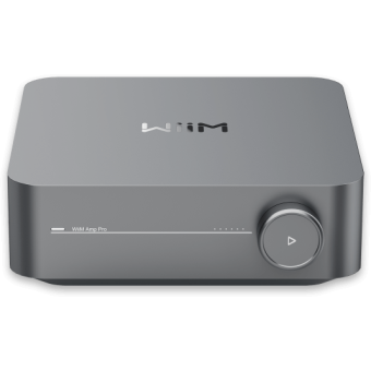 Wiim Amp PRO - Amplificator stereo cu streamer, Wi-Fi 6, Bluetooth 5.3, HDMI ARC & Voice Control/ Space Gray