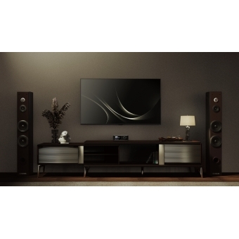 WiiM Ultra AMP - Amplificator integrat Wi-Fi 6, Bluetooth 5.3, tehnologie PFFB, 2 x 100W/ Space gray #25