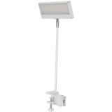 EUROLITE LED KKL-40 Floodlight 3CT white