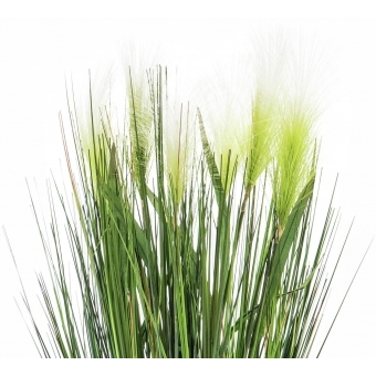 EUROPALMS Feather grass, artificial, white, 60cm #2