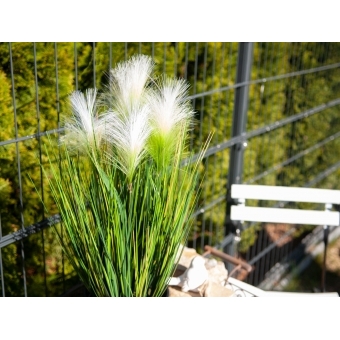 EUROPALMS Feather grass, artificial, white, 60cm #9