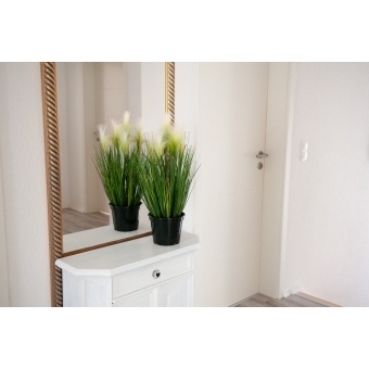 EUROPALMS Feather grass, artificial, white, 60cm #16