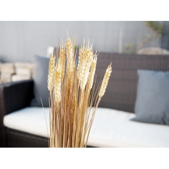 EUROPALMS Wheat bunch, artificial, 60cm #4