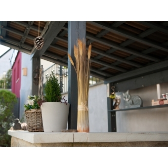 EUROPALMS Wheat bunch, artificial, 60cm #5