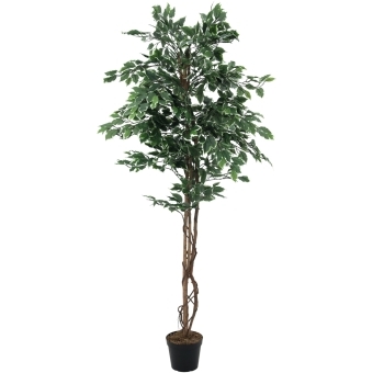EUROPALMS Variegated Ficus, artificial plant, 180cm