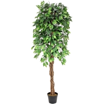 EUROPALMS Ficus Tree Multi Trunk, artificial plant, 180cm