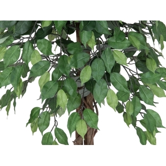 EUROPALMS Ficus Tree Multi Trunk, artificial plant, 180cm #2