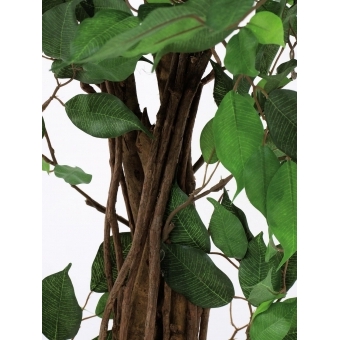 EUROPALMS Ficus Tree Multi Trunk, artificial plant, 210cm #3