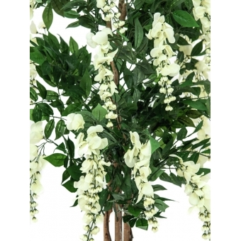 EUROPALMS Wisteria, artificial plant, white, 180cm #2