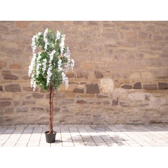 EUROPALMS Wisteria, artificial plant, white, 180cm #4