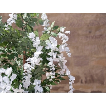 EUROPALMS Wisteria, artificial plant, white, 180cm #5