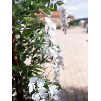 EUROPALMS Wisteria, artificial plant, white, 180cm #9