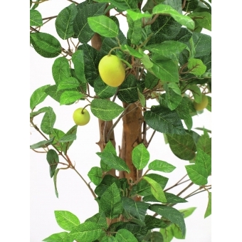 EUROPALMS Lemon Tree, artificial plant, 180cm #3