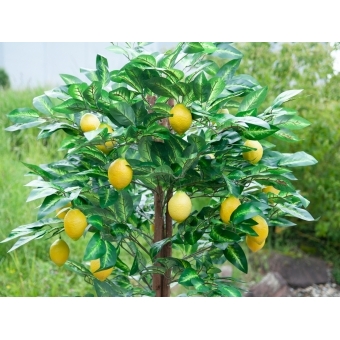 EUROPALMS Lemon Tree, artificial plant, 180cm #5