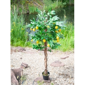 EUROPALMS Lemon Tree, artificial plant, 180cm #6