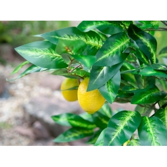EUROPALMS Lemon Tree, artificial plant, 180cm #9