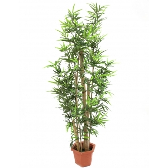 EUROPALMS Bamboo with natural stalks, artificial plant, 150cm