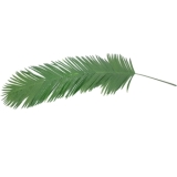 EUROPALMS Coconut King Palm Branch, artificial, 180cm