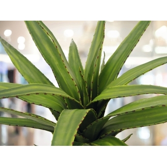 EUROPALMS Aloe (EVA), artificial, green, 50cm #2
