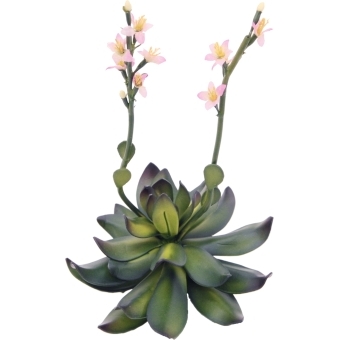 EUROPALMS Houseleeks (EVA), artificial plant, pink, 32cm