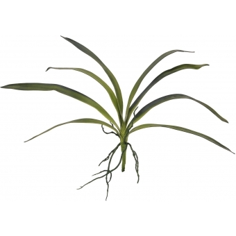 EUROPALMS Orchid leaf (EVA), arificial, green, 45cm