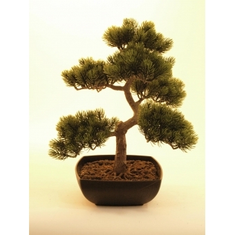 EUROPALMS Pine Bonsai, artificial plant, 50cm #2