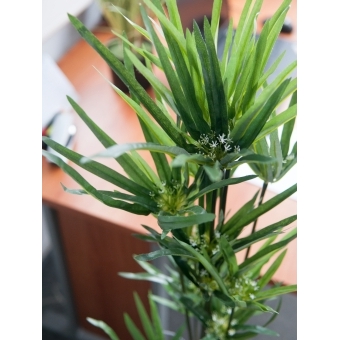 EUROPALMS Cyprus Grass, artificial, 76cm #3