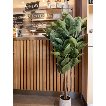EUROPALMS Rubber Tree, artificial plant, 120cm #8