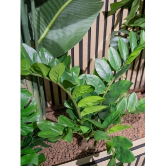 EUROPALMS Zamifolia, artificial plant, 70cm #3