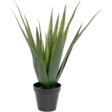 EUROPALMS Aloe Vera Plant, artificial plant, 60cm