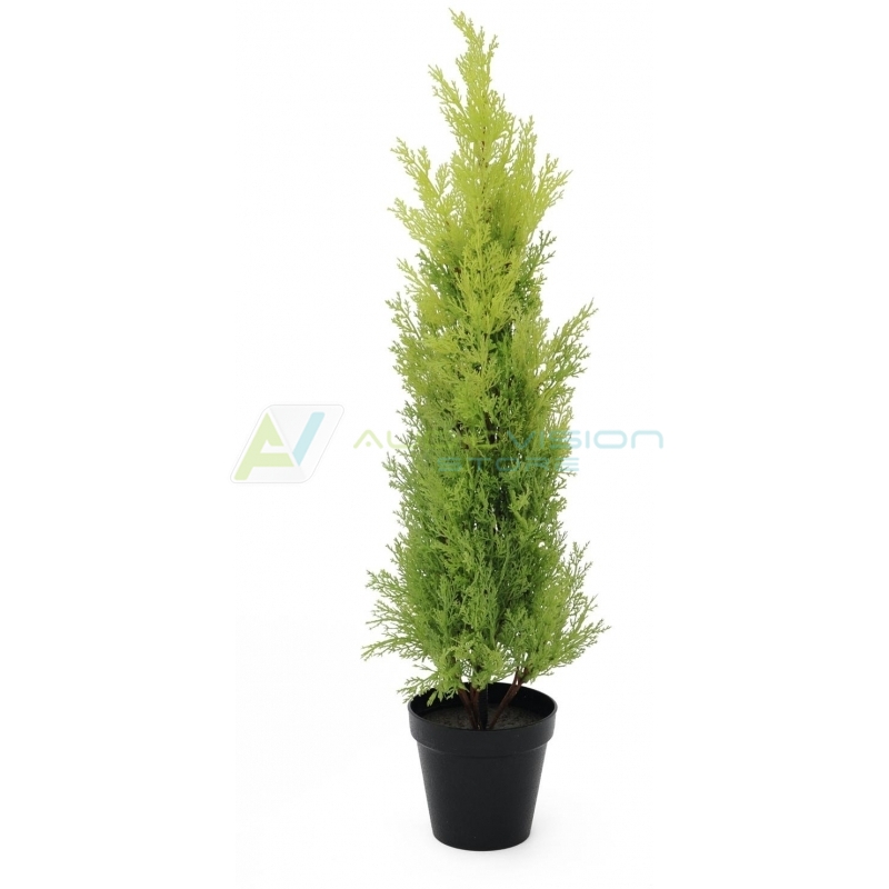 EUROPALMS Cypress, Leyland, artificial plant, 75cm AudioVision.ro