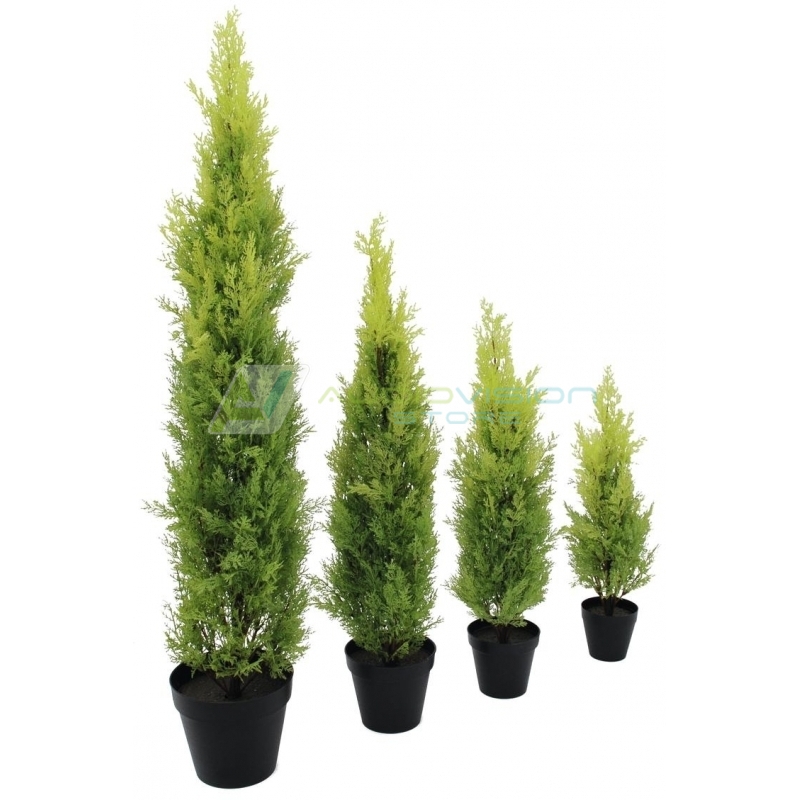 EUROPALMS Cypress, Leyland, artificial plant, 75cm AudioVision.ro