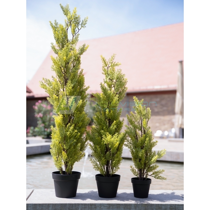 EUROPALMS Cypress, Leyland, artificial plant, 75cm AudioVision.ro