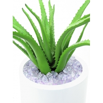 EUROPALMS Aloe Vera Plant, artificial plant, 63cm #4