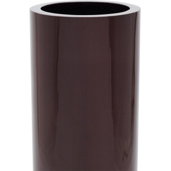 EUROPALMS LEICHTSIN TOWER-120, shiny-brown #2
