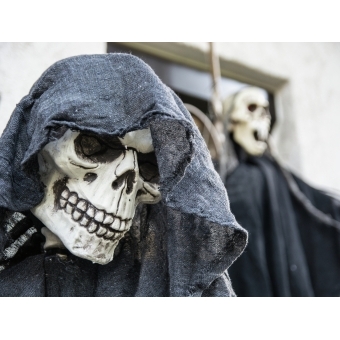 EUROPALMS Halloween Figure Skeleton Moldable #5