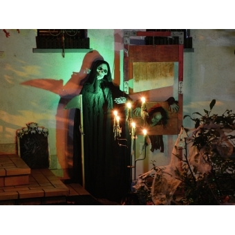 EUROPALMS Halloween Figure Skeleton Moldable #6