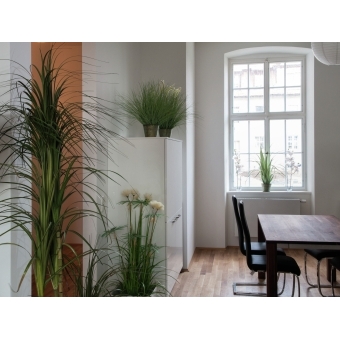 EUROPALMS Star Grass artificial, 120cm #4