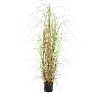 EUROPALMS Grass bush, artificial, 150cm