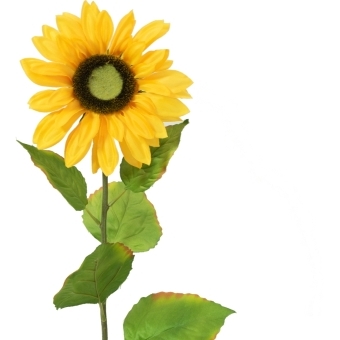 EUROPALMS Sunflower, artificial plant, 70cm