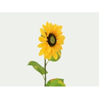 EUROPALMS Sunflower, artificial plant, 70cm #3