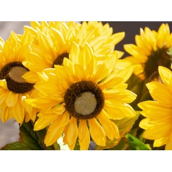 EUROPALMS Sunflower, artificial plant, 70cm #5