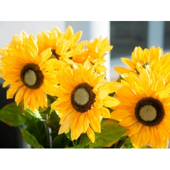 EUROPALMS Sunflower, artificial plant, 70cm #7