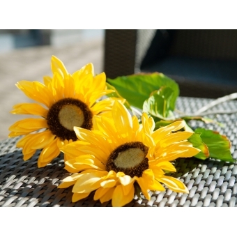 EUROPALMS Sunflower, artificial plant, 70cm #8