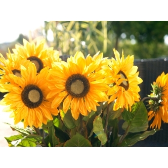 EUROPALMS Sunflower, artificial plant, 70cm #9